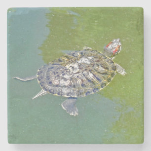 TURTLE Stone Untersetzer