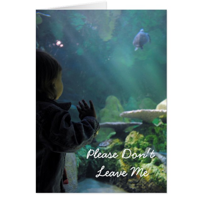 Turtle Tank Viewer (Vorne)