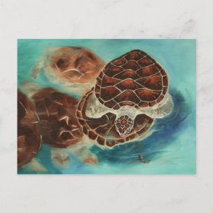 Turtle Time Postcard Postkarte