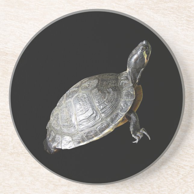Turtle-Untersetzer Sandstein Untersetzer (Vorne)