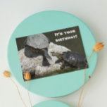 Turtles on Rock Foto Funny Birthday Karte<br><div class="desc">Senden Sie jemandem eine lustige Geburtstagskarte für alles,  das ein Foto von zwei Teichtschildkröten zeigt,  die versuchen,  Platz auf einem kleinen Felsen gemeinsam mit humorvollen Gruß innen. Wählen Sie aus einer matten oder glänzenden Stilkarte.</div>