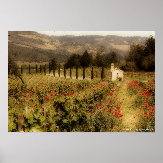 Tuscan Dream Print Poster (Vorne)