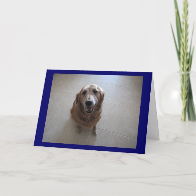 Tut mir leid! karte (Vorderseite)