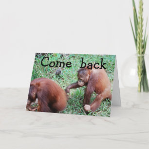 Tut mir leid: Lasst uns wieder zusammenkommen Karte