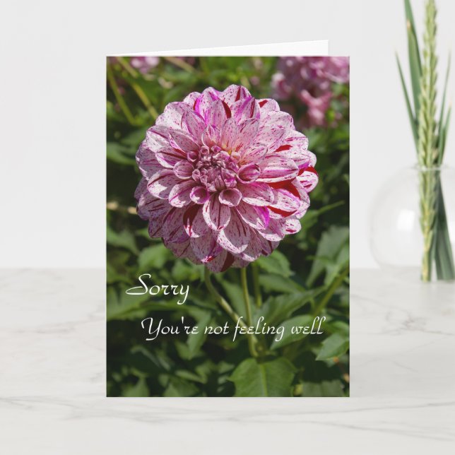 Tut mir leid, Sie sind nicht gut im Gefühl Karte (Vorderseite)