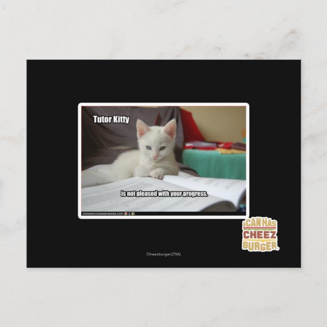 Tutor Kitty Postkarte (Vorderseite)