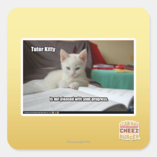 Tutor Kitty Quadratischer Aufkleber