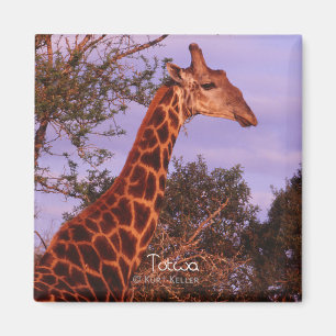 Tutwa, Giraffe in Tetswana, Magnet