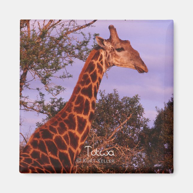 Tutwa, Giraffe in Tetswana, Magnet (Vorne)