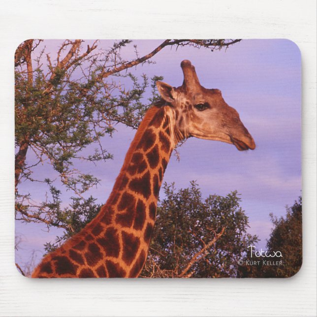 Tutwa, Giraffe in Tetswana, Mousepad (Vorne)