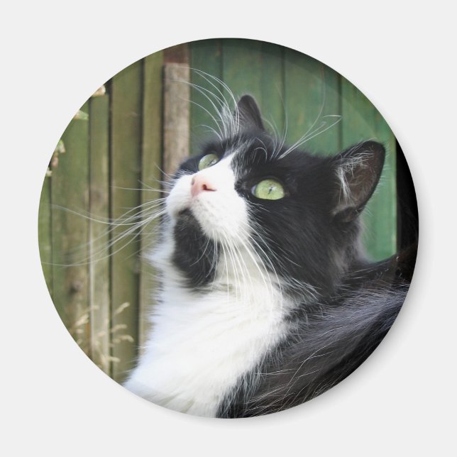 Tux - 2¼ Zoll rundes Magnet (Vorne)