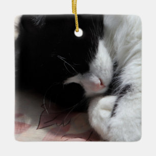 Tuxedo Cat Art Niedlich Pink Nose Kitts Kunst, Dic Keramikornament