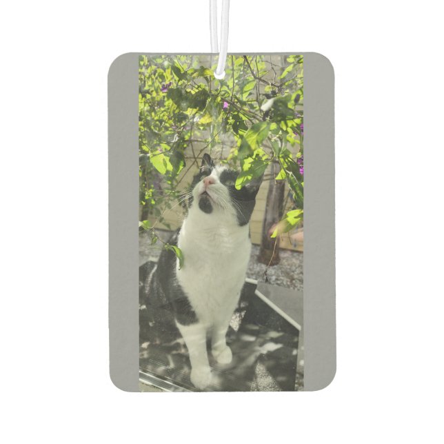 Tuxedo Cat Autolufterfrischer (Rückseite)