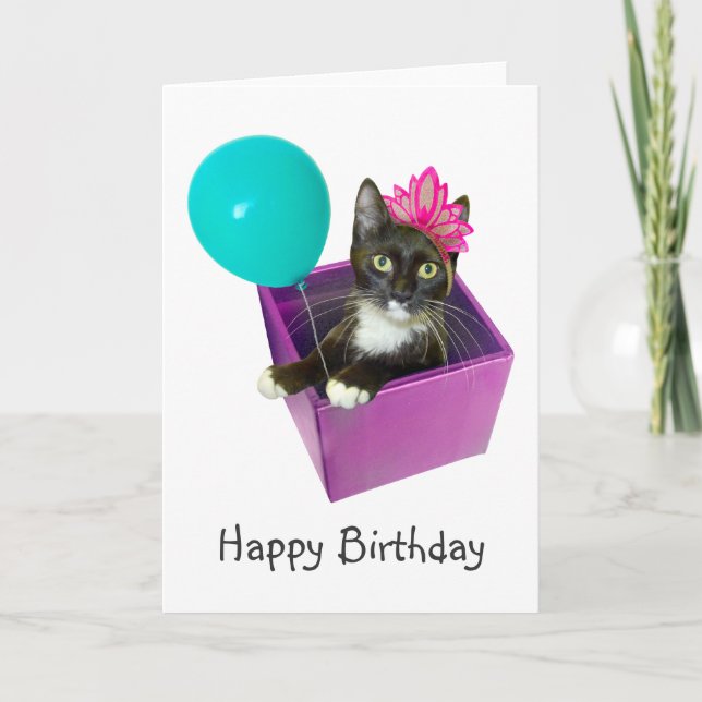 Tuxedo Cat Birthday Karte (Vorderseite)