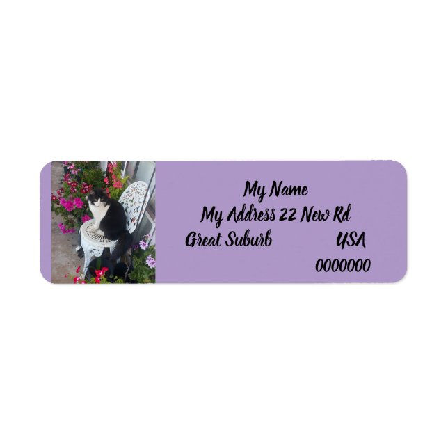 Tuxedo cat Cats Art Return Address Labels Lilac (Vorne)