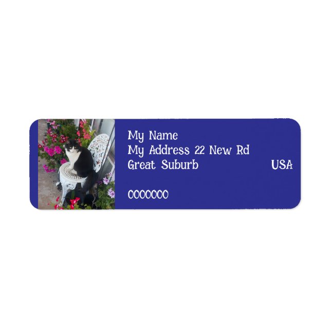 Tuxedo cat Cats Art Return Address Labels Navy (Vorne)