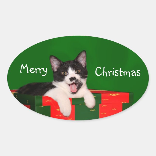 Tuxedo Cat Christmas Ovaler Aufkleber (Vorderseite)