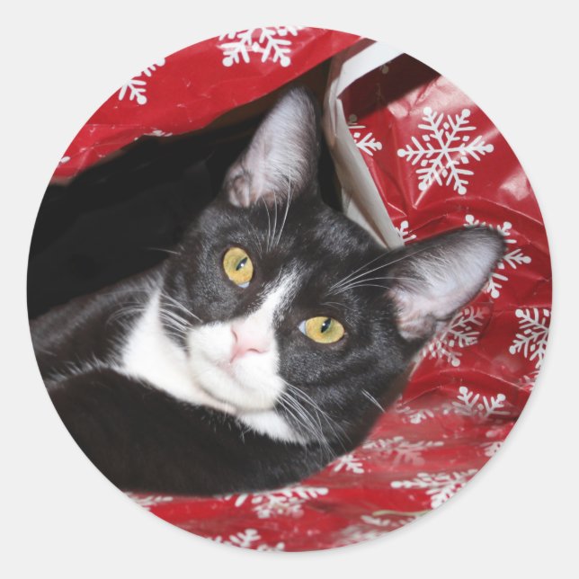 Tuxedo Cat Christmas Runder Aufkleber (Vorderseite)