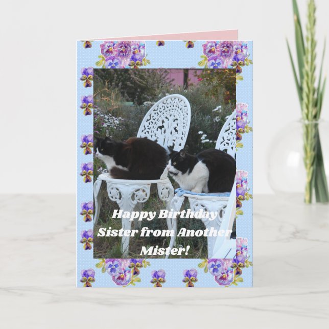 Tuxedo Cat Funny Birthday Sister Mister Cats Card Karte (Vorderseite)