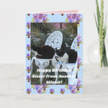 Tuxedo Cat Funny Birthday Sister Mister Cats Card Karte<br><div class="desc">Tuxedo Cat Niedliche lustige Schwester von einem anderen Mister Happy Birthday Best Friend Card. Entworfen aus einem meiner ursprünglichen Fotos,  ein Muss für alle Katzenliebhaber!.</div>