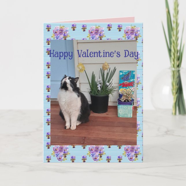 Tuxedo Cat Funny Cute Cats Valentines Day Blue Karte (Vorderseite)