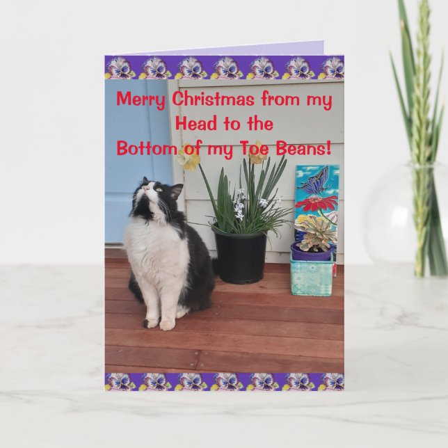 Tuxedo Cat Funny Frohe Weihnachts Toe Bean Card Karte (Vorderseite)