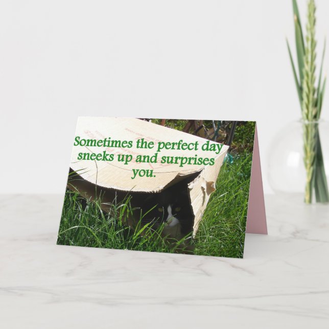 Tuxedo Cat Hiding Perfect Day Quote Card Karte (Vorderseite)