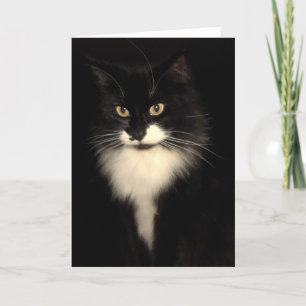 Tuxedo Cat Karte