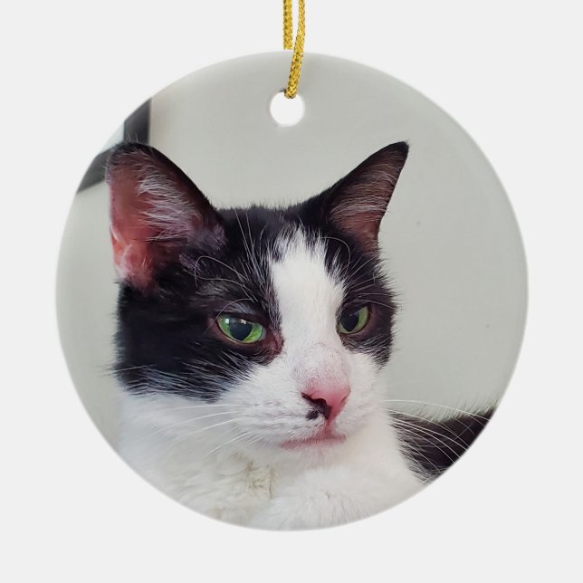 Tuxedo Cat Keramik Ornament (Vorne)