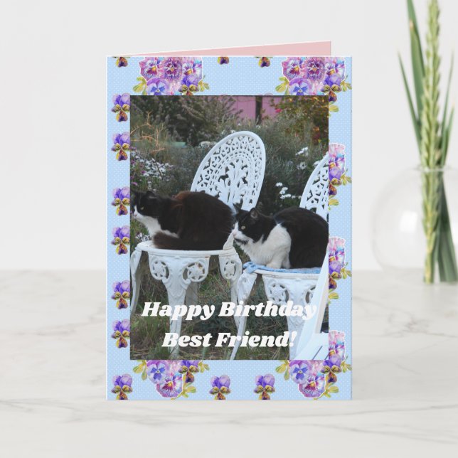 Tuxedo Cat Niedlich Funny Birthday Friend Cat Card Karte (Vorderseite)