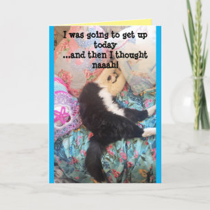 Tuxedo Cat Niedlich Funny Sleeping Cats Geburtstag Karte