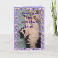 Tuxedo Cat Niedlich Funny Thinking You Liebe Card