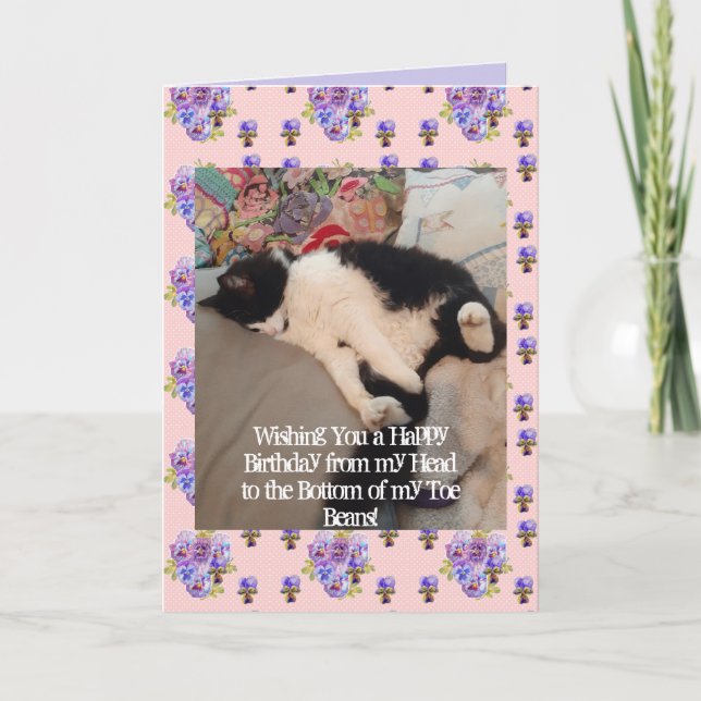 Tuxedo Cat Niedlich Happy Birthday Toboans Card Karte (Vorderseite)