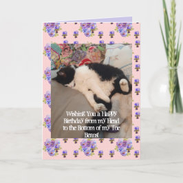 Tuxedo Cat Niedlich Happy Birthday Toboans Card Karte