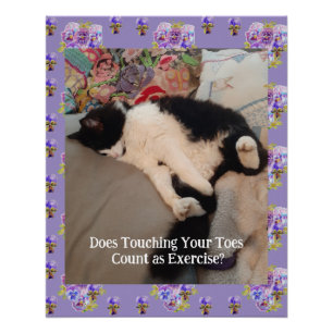 Tuxedo Cat Niedlich Happy Birthday Touching Toches Poster