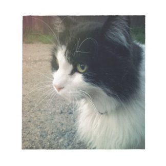 Tuxedo Cat Notizblock
