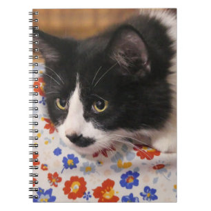 Tuxedo Cat Notizblock