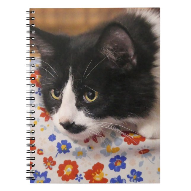 Tuxedo Cat Notizblock (Vorderseite)