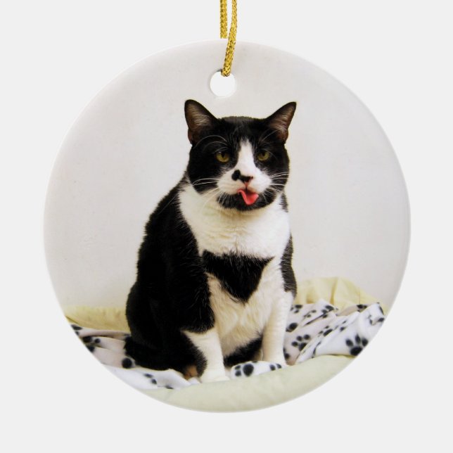 Tuxedo Cat Ornament (Vorne)