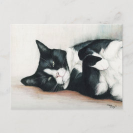 "Tuxedo Cat" Postkarte