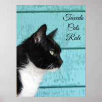 Tuxedo Cat Profil auf Aquamarin