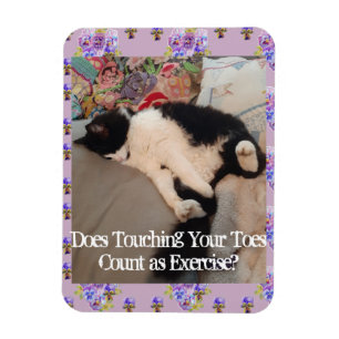 Tuxedo Cat Sleeping Funny Zitat Katzen Magnet