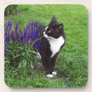 Tuxedo Cat Untersetzer
