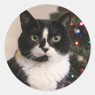 Tuxedo Cat Weihnachtsaufkleber Runder Aufkleber