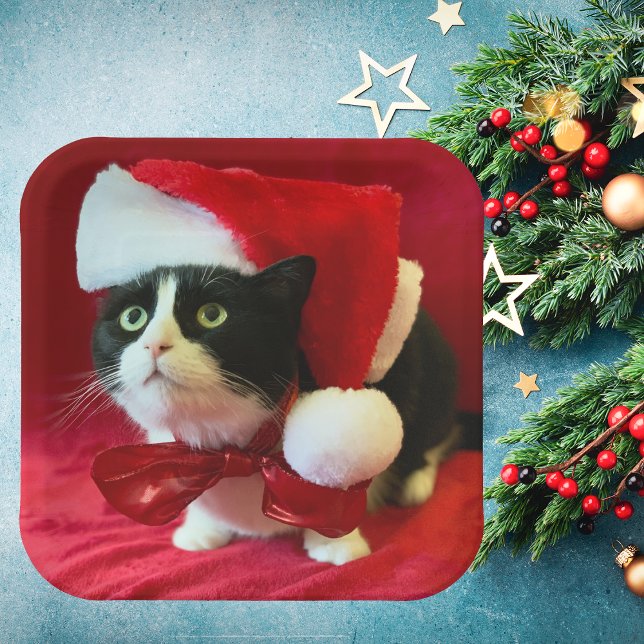 Tuxedo Cat Weihnachtsfeiertage Teller (Von Creator hochgeladen)