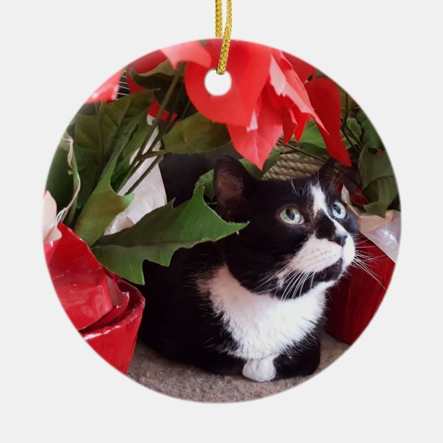 Tuxedo Cat Weihnachtsschmuck (Vorne)