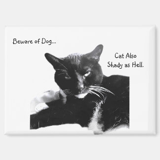 Tuxedo Cat with Shady Smile Magnet