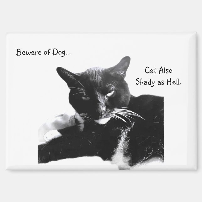 Tuxedo Cat with Shady Smile  Magnet (Vorderseite)