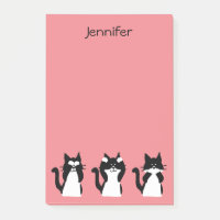 Tuxedo Cats | Drei weiße Kätzchen
