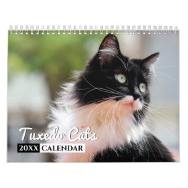 Tuxedo Cats Foto Wall Calendar Kalender